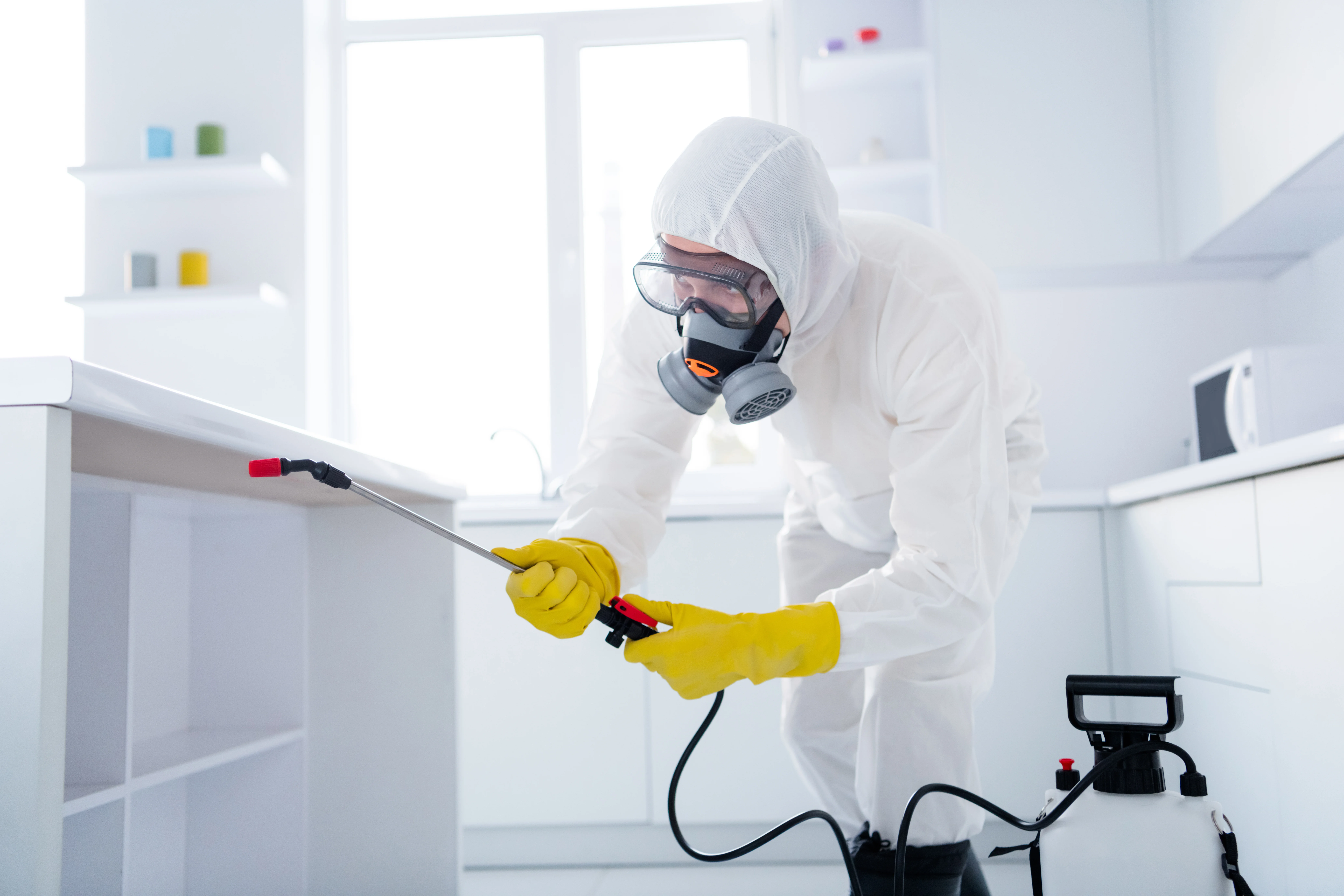 Pest control Dallas - professional exterminator and pest extermination