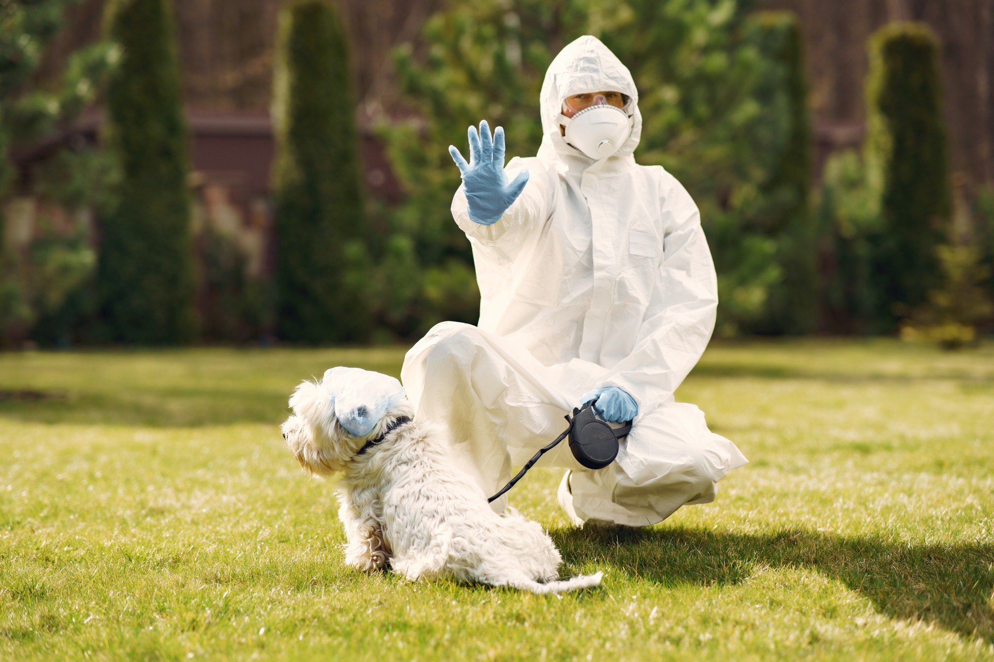 Outdoor & Pet-Area Pest Control Service In Dallas