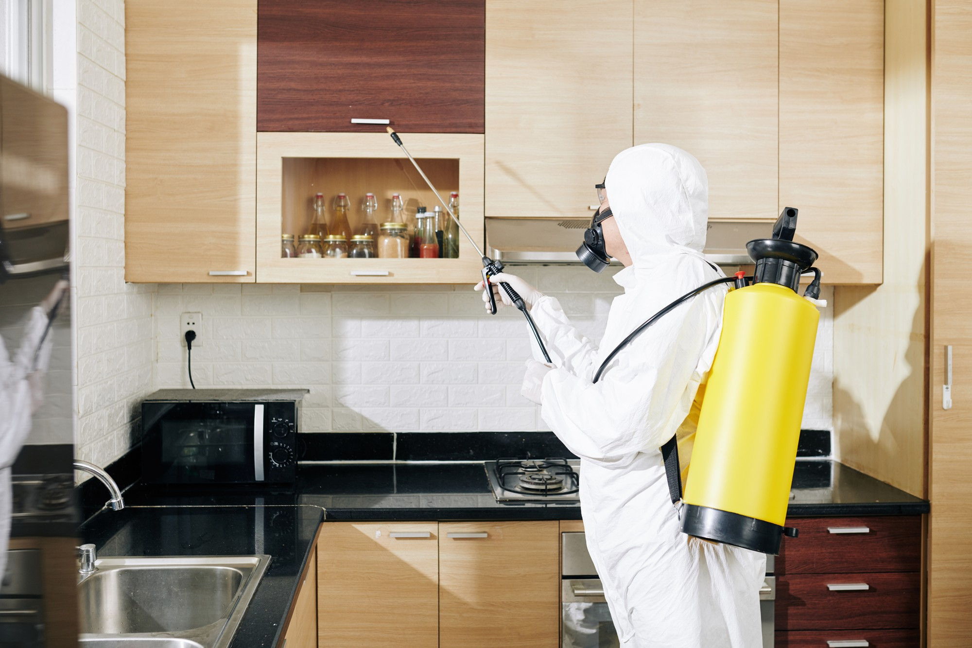 Contact Pest Control Dallas Pro pest control team for a free quote and inspection in Dallas