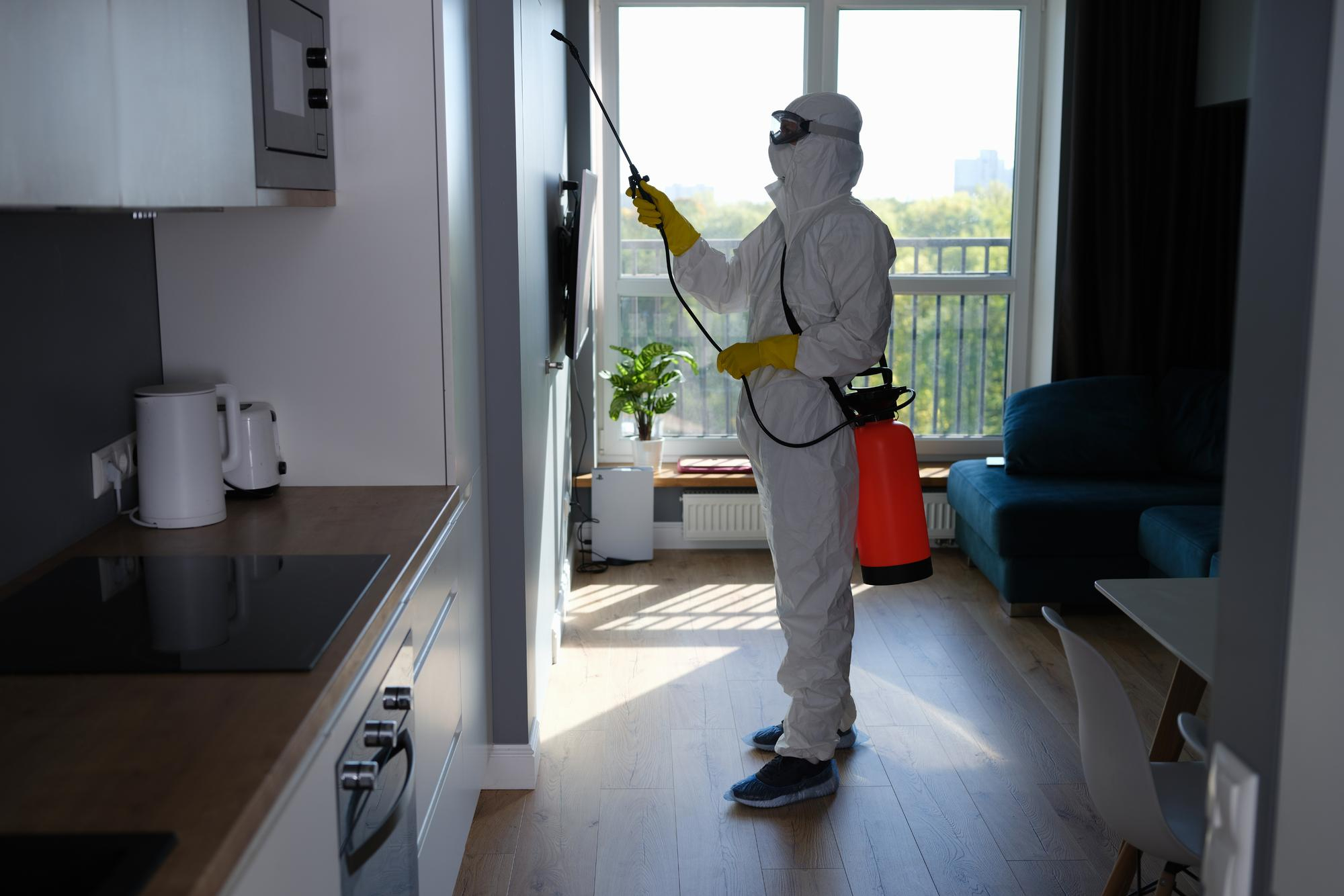 Residential pest control service in Dallas